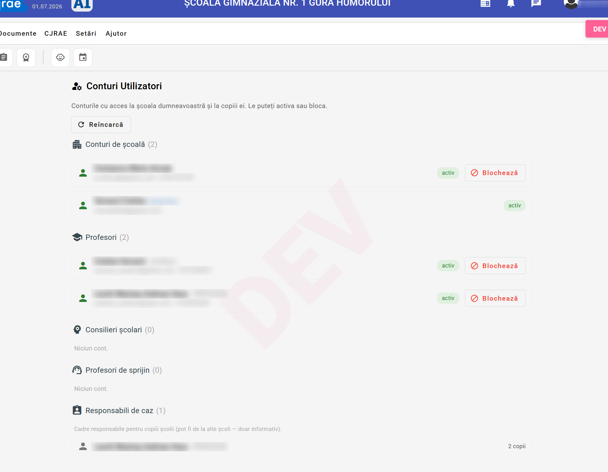 Conturi utilizatori grupate pe roluri